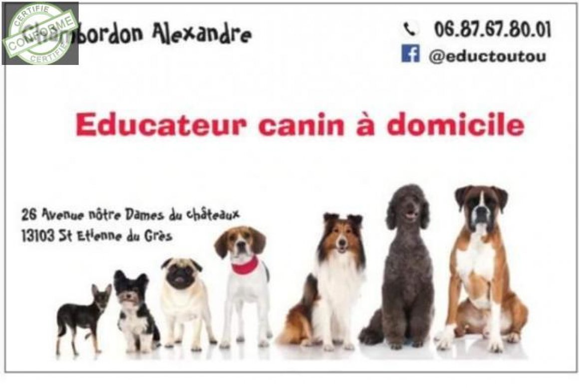 Alexandre Chambordon- Educateur canin