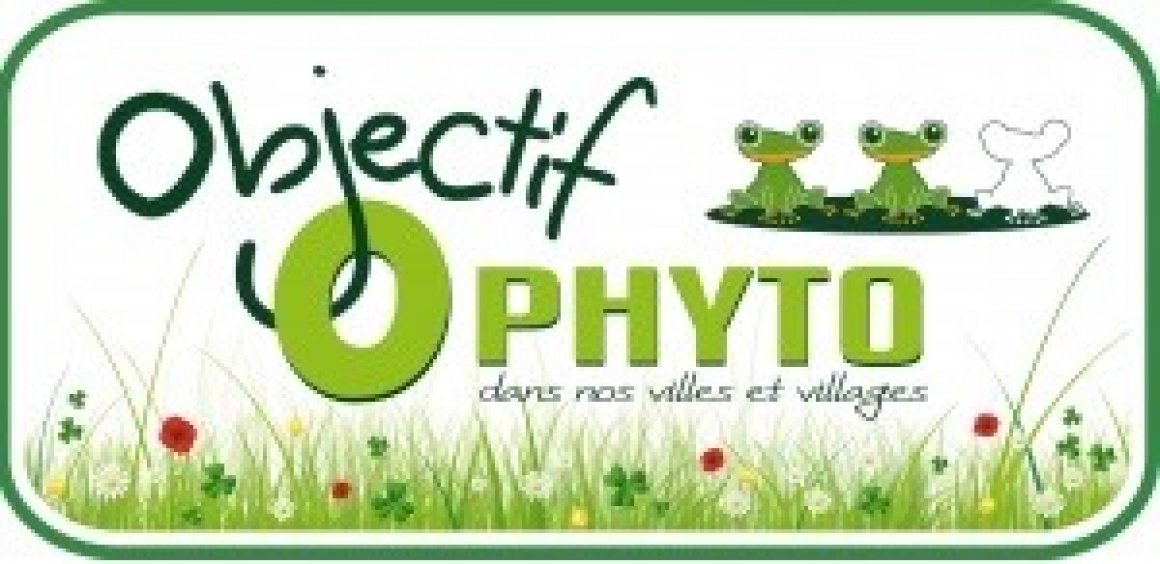 0 Phyto